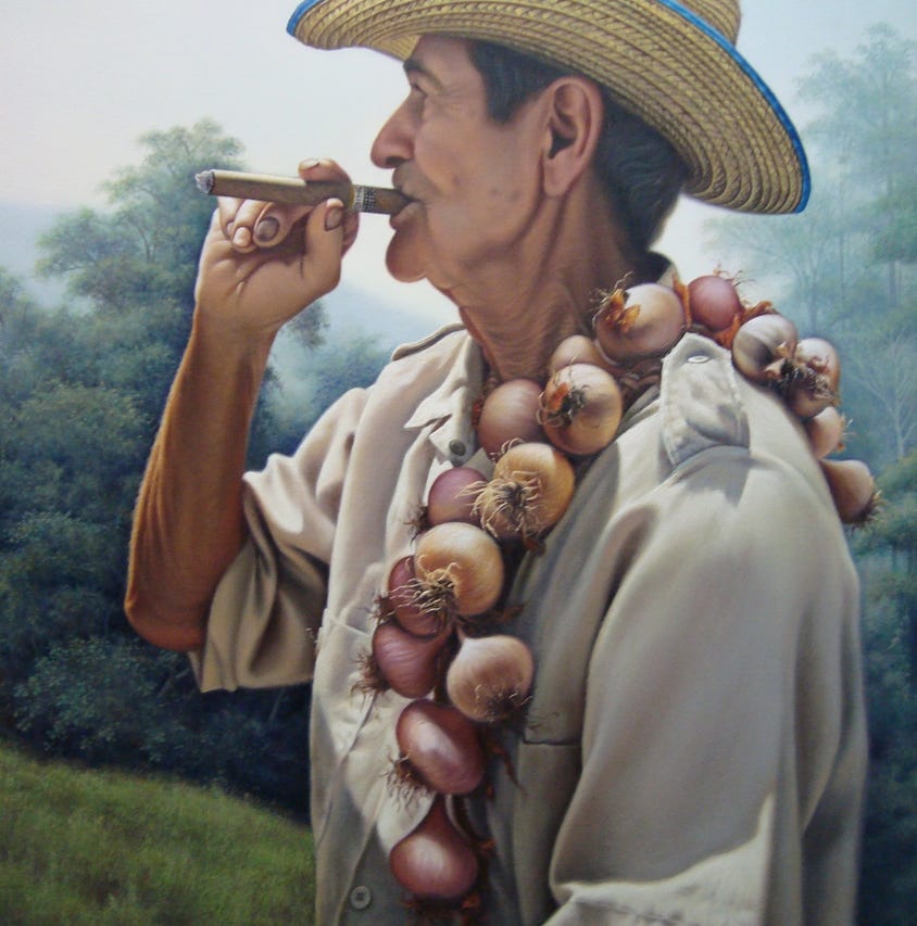 Campesino cebollas